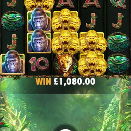 Big Win On Gorilla Mayhem